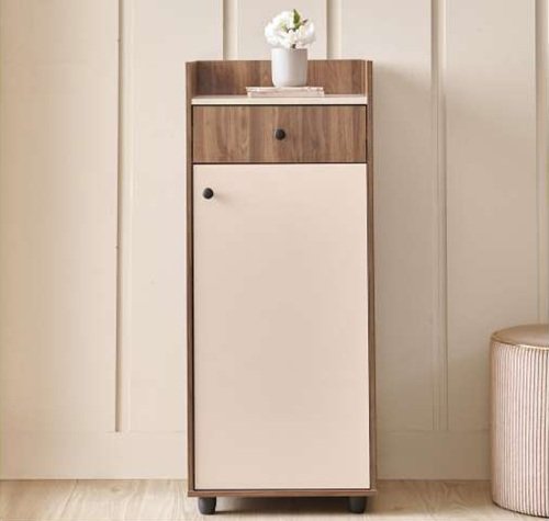 Compact Shoe Cabinet